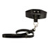 Bound By Diamonds Leash/Collar