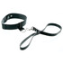 Bound By Diamonds Leash/Collar