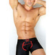 Bodyflex Trainer Trunk