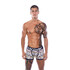 Zeus Boxer Multi-Colored