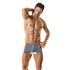 male model in swim trunks