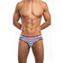 Triumph Brief