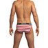 Hayden Brief