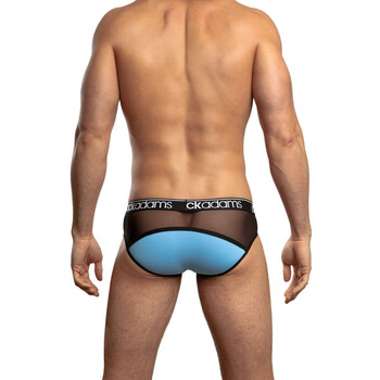 Zen Brief