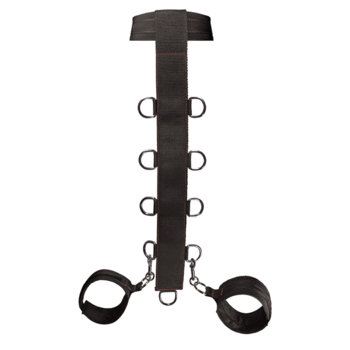 Neck And Wrist Restraint