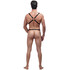 RipOffharnessatAdamMale.com