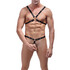 RipOffharnessatAdamMale.com