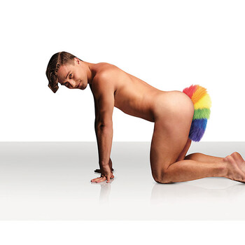Male with Rainbow Tail Anal Plug