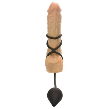 cock and ball anal teaser