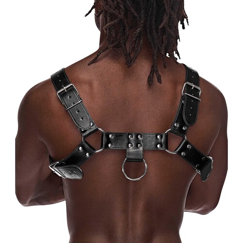 Aries Harness on male model