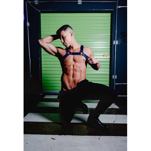 Male model posed wearing chest harness front view